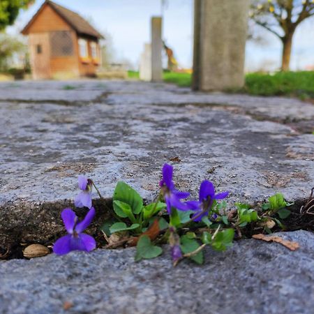 Peterseil'S Radl Zimmer Mauthausen Bagian luar foto