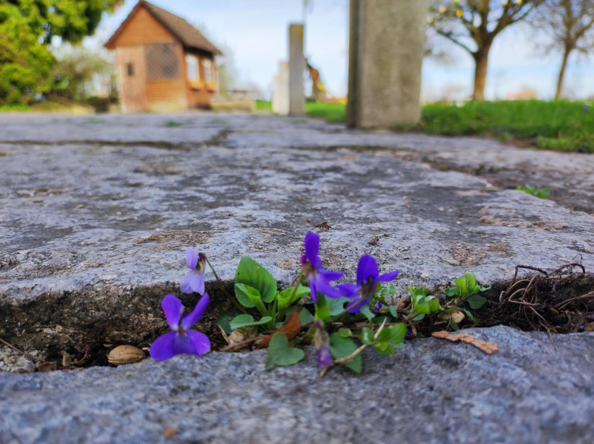Peterseil'S Radl Zimmer Mauthausen Bagian luar foto